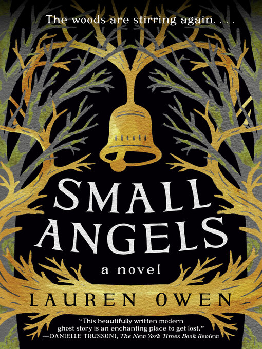 Cover image for Small Angels
